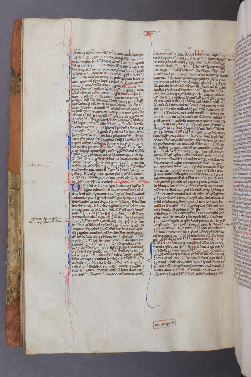 Folio 111 verso